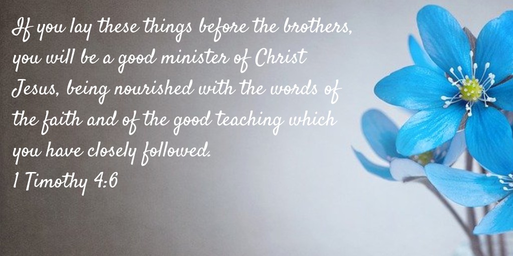 If you lay these things before the brothers, you will be a good minister of Christ Jesus, being nourished with the words of the faith and of the good teaching which you have closely followed. 1 Timothy 4:6